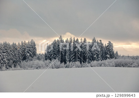 Snowy field with trees in the background Snowy field with trees in the background 129899643