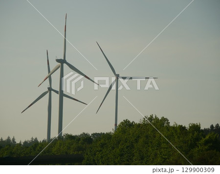 Three wind turbines are standing in a field with trees in the background 129900309