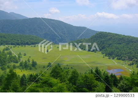 長野県にある池の平湿原の雲上の丘広場から見る池の平湿原と浅間山の風景 129900533