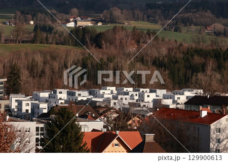A town with many houses and a few trees A town with many houses and a few trees 129900613
