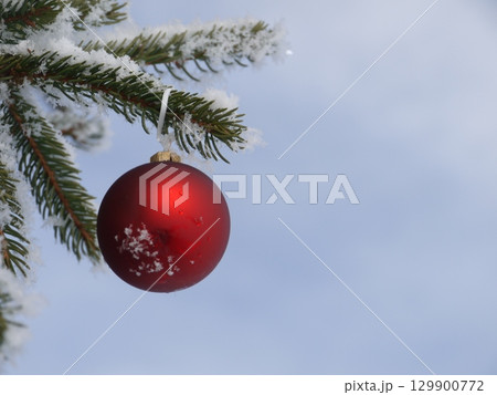 Red christmas ornament hanging from a tree branch Red christmas ornament hanging from a tree branch 129900772