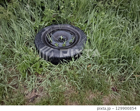 Tire is sitting in the grass 129900854