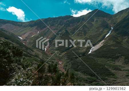 富良野岳 夏の空と高山植物 富良野岳 夏の空と高山植物 129901562