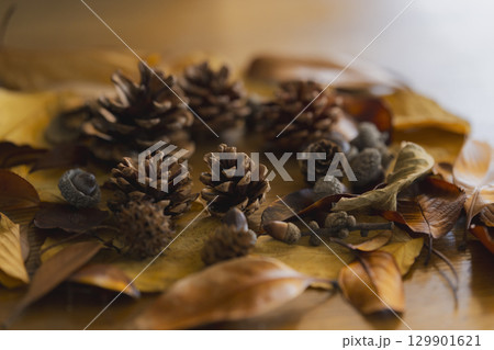 カラフルな落ち葉のアップ 129901621