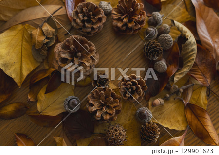 カラフルな落ち葉のアップ 129901623