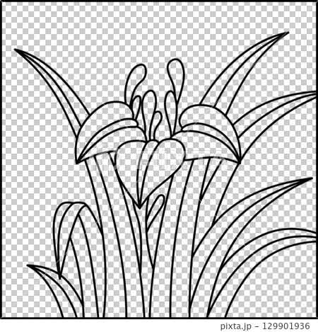 方線描花札－鳶尾花、鳶尾花、五月花、鳶尾花渣 129901936
