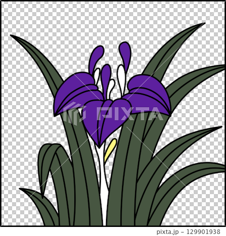 彩色方形花紮 - 鳶尾花、鳶尾花、五月花、鳶尾花渣 129901938