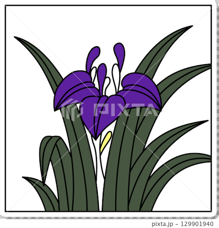 方形花札貼紙 - 鳶尾花、鳶尾花、五月花、鳶尾花滴 129901940