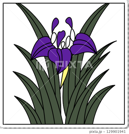 方形花札貼紙 - 鳶尾花、鳶尾花、五月花、鳶尾花滴 129901941