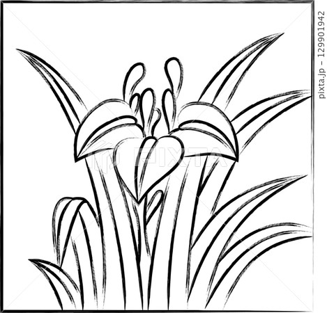 筆書き正方形花札　菖蒲　杜若　皐月　5月　菖蒲のカス 129901942