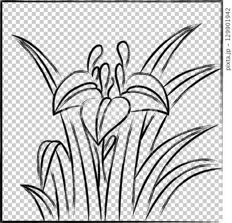 方形手寫花紮-鳶尾花、鳶尾花、五月花、鳶尾花渣 方形手寫花紮-鳶尾花、鳶尾花、五月花、鳶尾花渣 129901942