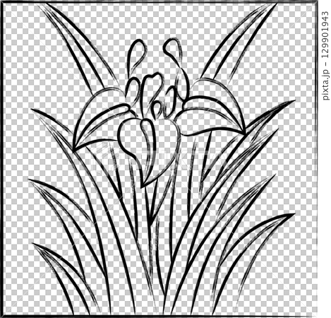 方形手寫花紮－鳶尾花、鳶尾花、五月花、鳶尾花渣 129901943