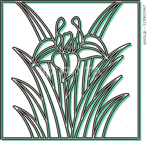 カラーシャドウ正方形花札 菖蒲 杜若 皐月 5月 菖蒲のカス カラーシャドウ正方形花札 菖蒲 杜若 皐月 5月 菖蒲のカス 129901947