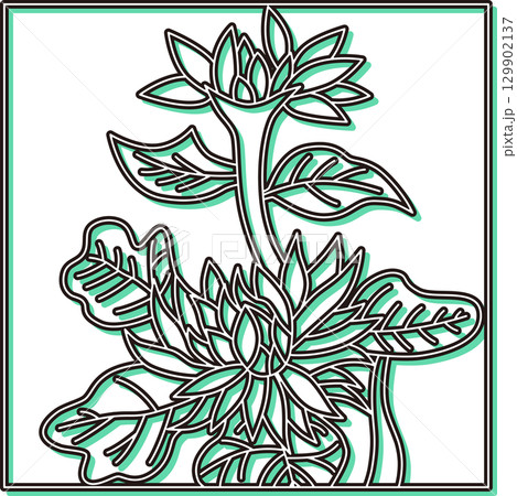 カラーシャドウ正方形花札 長月 菊 9月 菊のカス カラーシャドウ正方形花札 長月 菊 9月 菊のカス 129902137