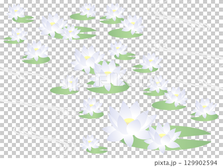 睡蓮圖示集，插圖，可愛，白色 129902594