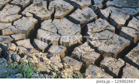 Rice fields in Southeast Asia's dry season. Drought and climate change Rice fields in Southeast Asia's dry season. Drought and climate change 129902667