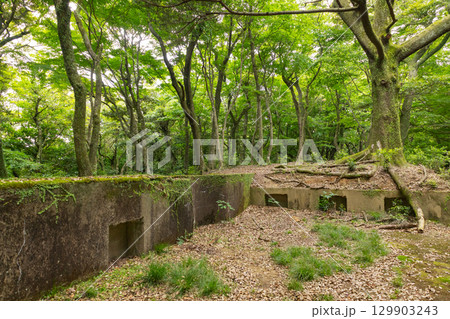 上見坂園地 砲座跡 上見坂園地 砲座跡 129903243