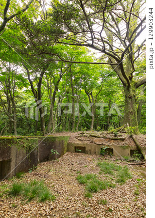 上見坂園地　砲座跡 129903244