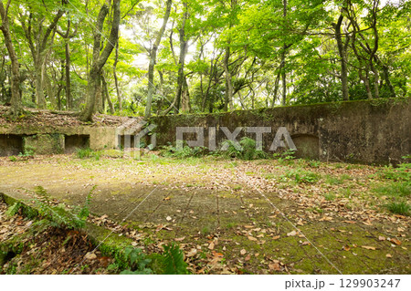 上見坂園地　砲座跡 129903247