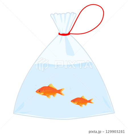 袋に入った金魚のイラスト  カラー 線なし 129903281