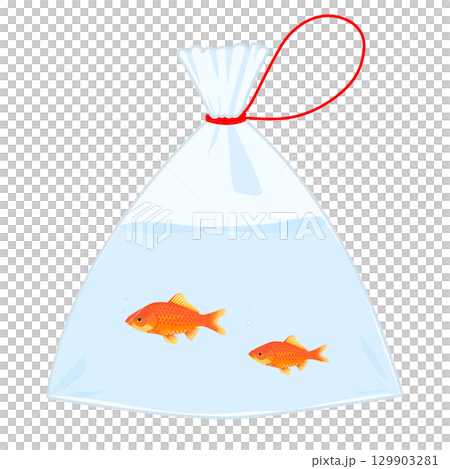 袋に入った金魚のイラスト  カラー 線なし 129903281