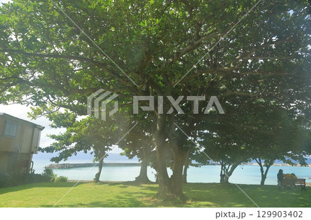 鳩間島の前の浜を望む広場のベンチで休む人 129903402