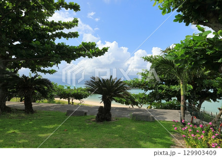 青い空に入道雲が湧く真夏の鳩間島の風景 青い空に入道雲が湧く真夏の鳩間島の風景 129903409