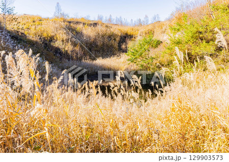 洞爺湖有珠山ジオパーク 129903573
