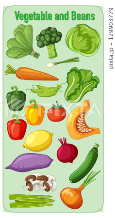 Colorful Assorted Vegetables and Beans Vector Illustration Colorful Assorted Vegetables and Beans Vector Illustration 129903779