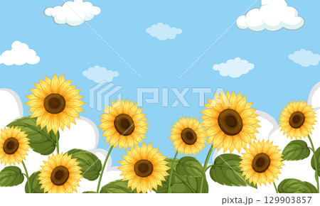 Sunflowers in Bloom Under a Bright Blue Sky 129903857