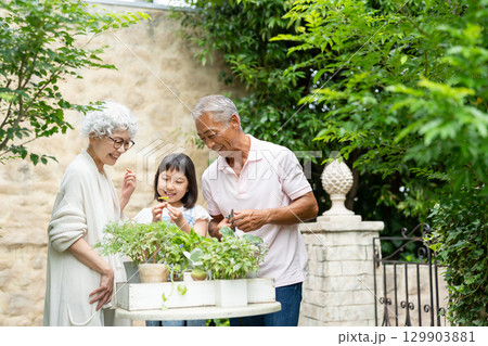 ガーデニングをするシニア夫婦と子供 129903881