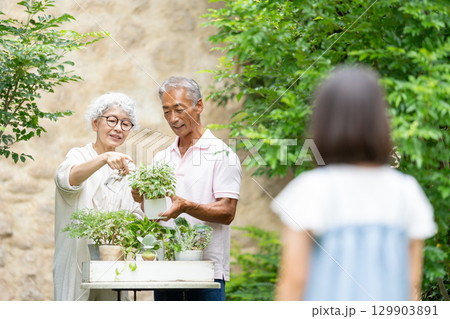 ガーデニングをするシニア夫婦と子供 129903891