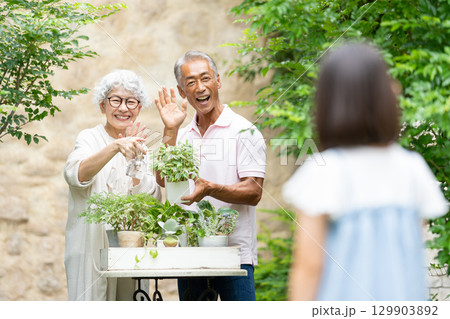 ガーデニングをするシニア夫婦と子供 ガーデニングをするシニア夫婦と子供 129903892