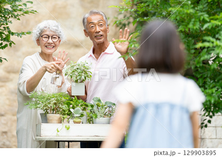 ガーデニングをするシニア夫婦と子供 129903895