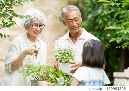 ガーデニングをするシニア夫婦と子供 ガーデニングをするシニア夫婦と子供 129903896