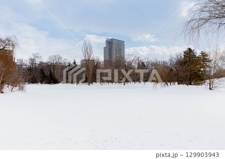 冬の中島公園 129903943