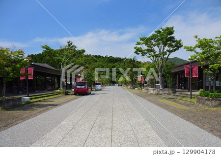 アリタセラ 129904178