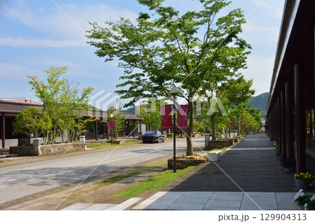 アリタセラ 129904313