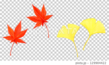 Hand-painted watercolor illustration set of bright red autumn leaves and ginkgo 129904422