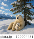 シロクマの親子・・一休み 129904481