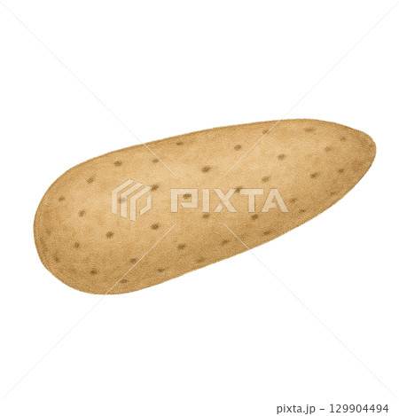 長芋のイラスト 129904494