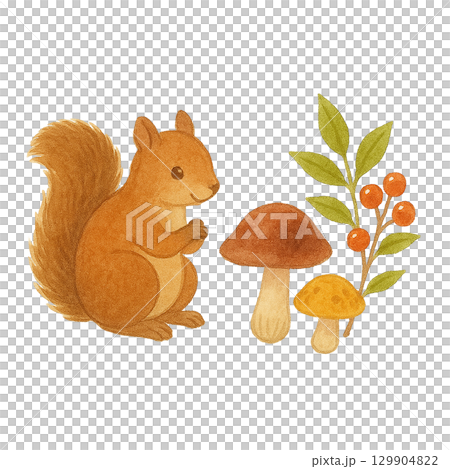 Squirrel and mushroom illustration (autumn, forest, cutout) Squirrel and mushroom illustration (autumn, forest, cutout) 129904822