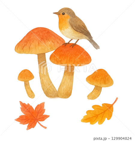 小鳥ときのこのイラスト(秋・紅葉・切り抜き) 小鳥ときのこのイラスト(秋・紅葉・切り抜き) 129904824