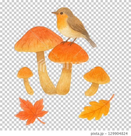 小鳥ときのこのイラスト(秋・紅葉・切り抜き) 小鳥ときのこのイラスト(秋・紅葉・切り抜き) 129904824