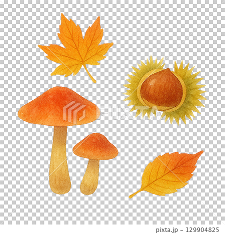 蘑菇、栗子和紅葉的插圖（秋天素材、剪紙） 129904825