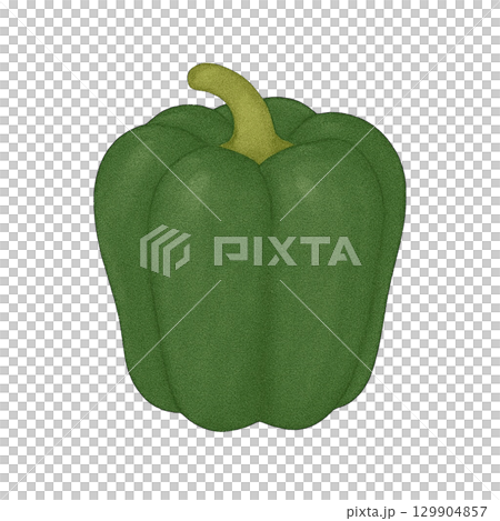 [Vegetables] Illustration of green peppers 129904857