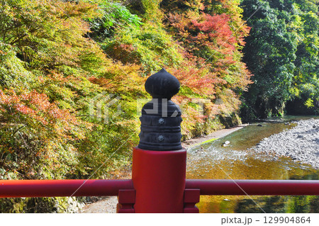 京都　三尾　高雄橋から見た美しい紅葉と清滝川　(京都府京都市右京区） 129904864