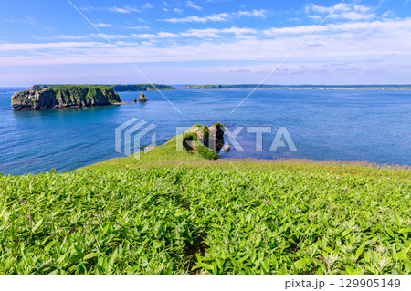 青空の下、浜中町アゼチの岬から望む嶮暮帰島と太平洋の風景  129905149