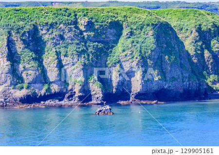 青空の下、浜中町アゼチの岬から望む嶮暮帰島と太平洋の風景  129905161