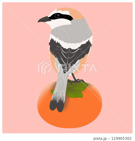 モズと柿のイラスト モズと柿のイラスト 129905302